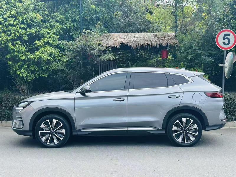BYD PLUS EV - фото 2