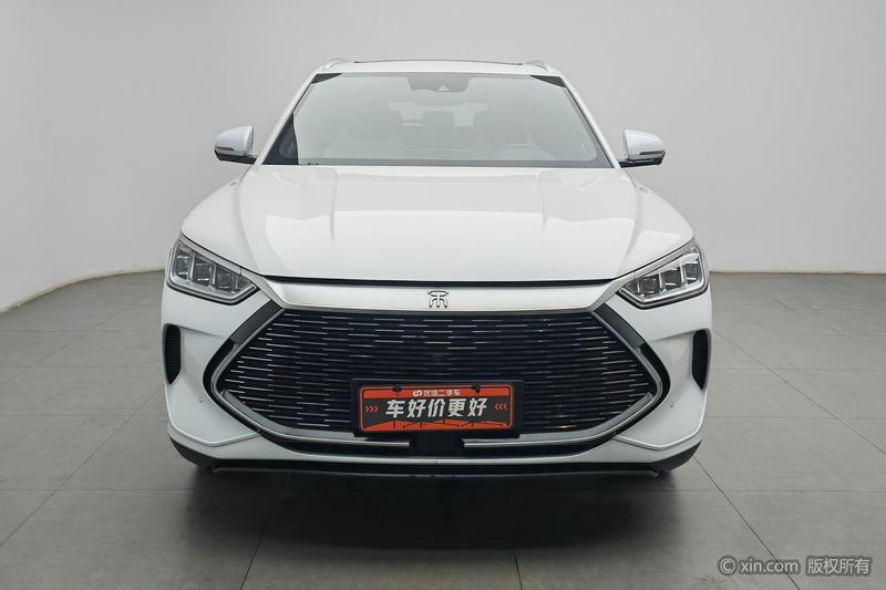 BYD PLUS DM - фото 1