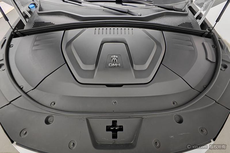BYD PLUS DM - фото 4