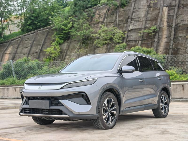BYD Pro DM - фото 0
