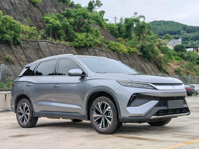 BYD Pro DM - фото 1
