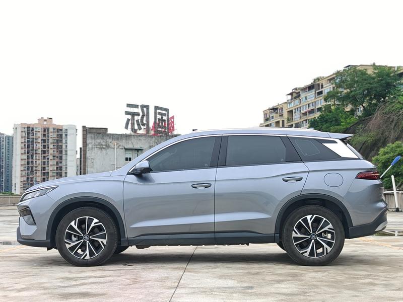 BYD Pro DM - фото 2