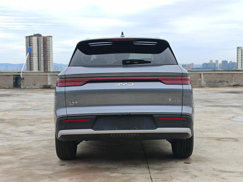BYD Pro DM - фото 4
