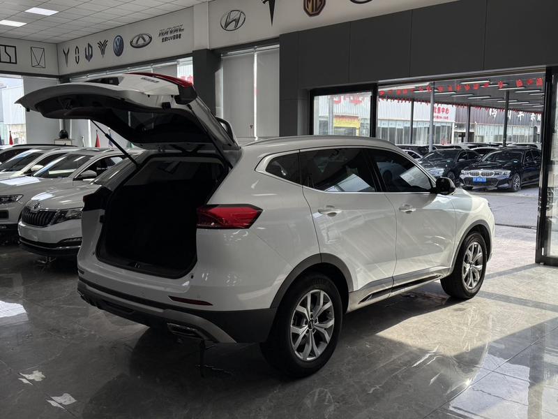 Haval H6 - фото 4