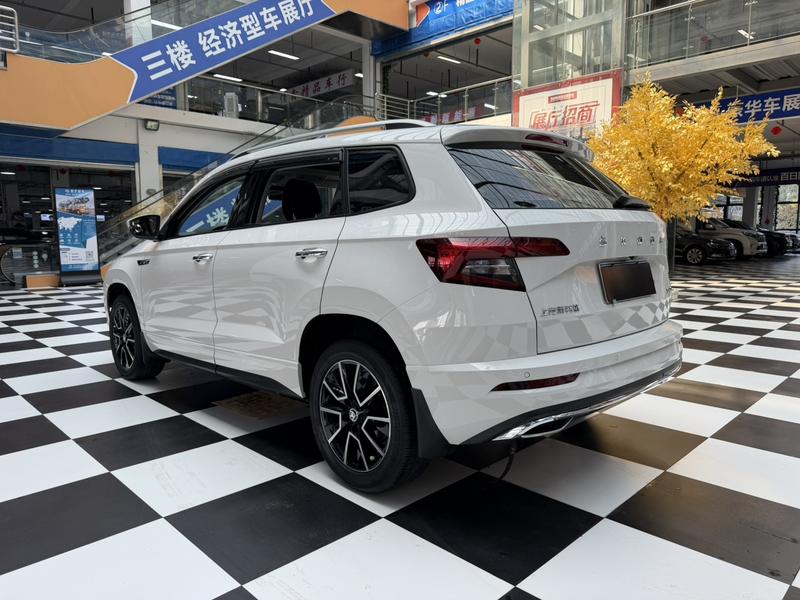 Skoda Karoq - фото 3