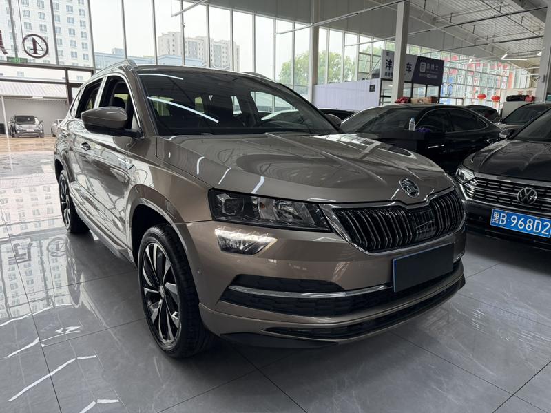 Skoda Karoq - фото 2
