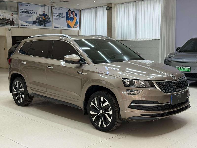 Skoda Karoq - фото 2