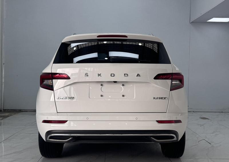 Skoda Karoq - фото 4