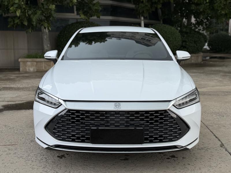 BYD Qin PLUS DM-i - фото 1