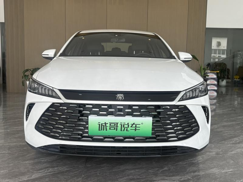 BYD Qin PLUS DM-i - фото 1