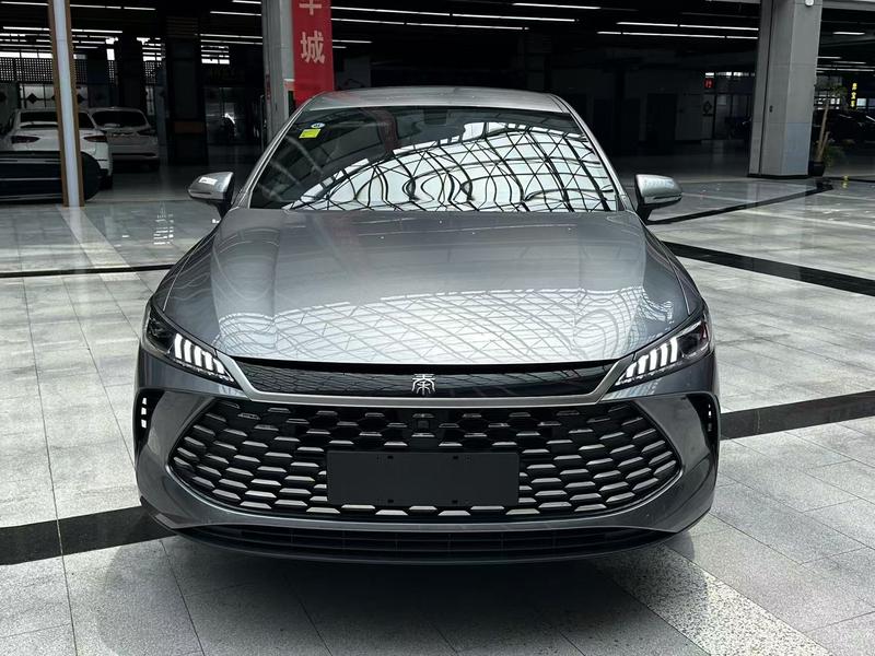 BYD Qin PLUS DM-i - фото 1