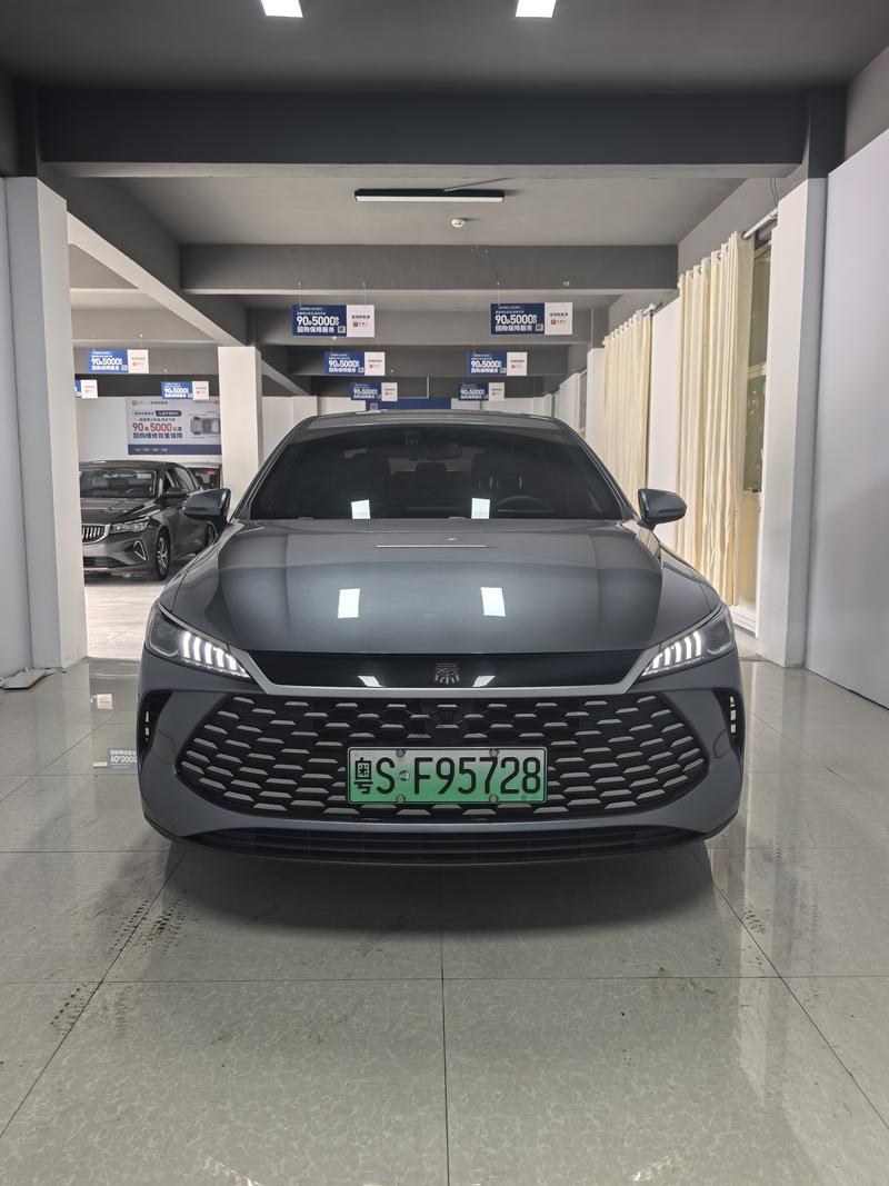 BYD Qin PLUS DM-i - фото 1
