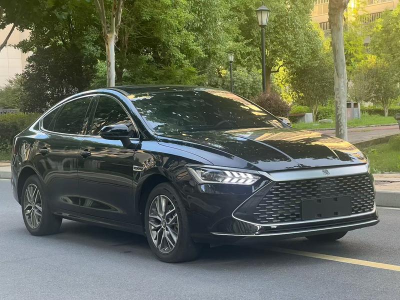 BYD Qin PLUS DM-i - фото 2