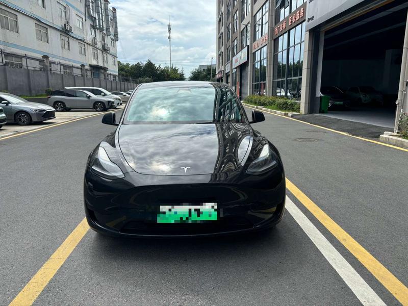 Tesla Model Y - фото 1