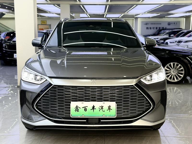 BYD PLUS DM - фото 1