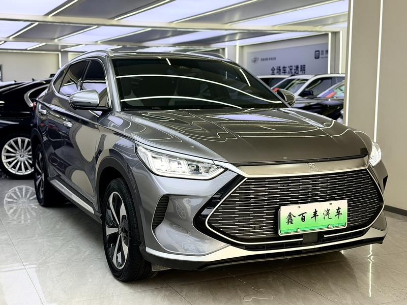 BYD PLUS DM - фото 2