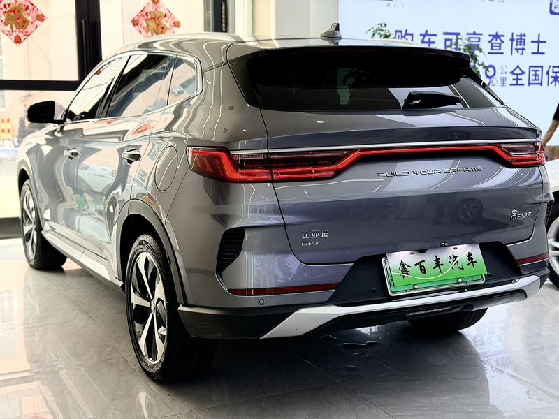 BYD PLUS DM - фото 3