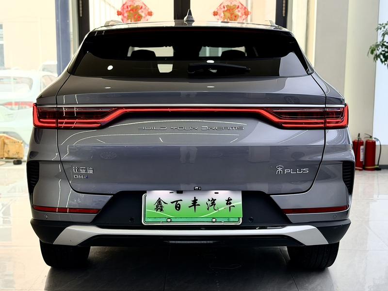 BYD PLUS DM - фото 4