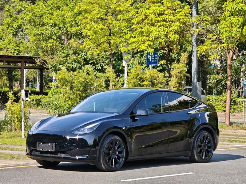 Tesla Model Y - фото 0