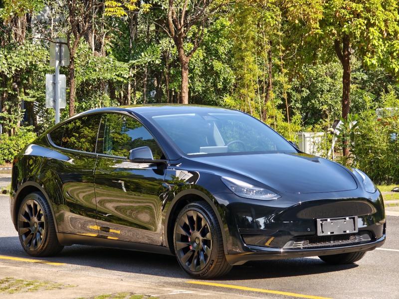 Tesla Model Y - фото 2