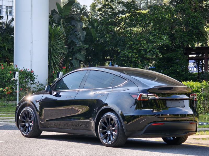 Tesla Model Y - фото 4