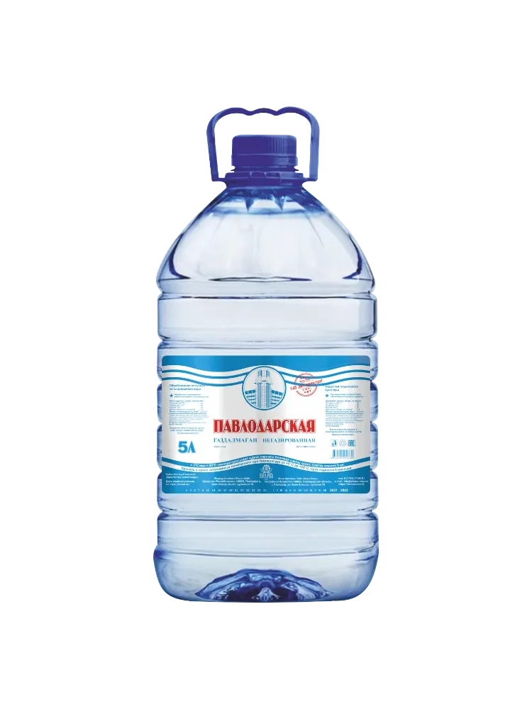 ВОДА ПАВЛОДАРСКАЯ 5Л Н/ГАЗ