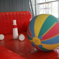 IMG 3610