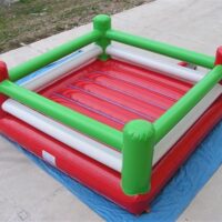 Boksiorckiy ring 8