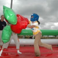 Boksiorckiy ring 16