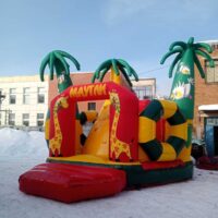 IMG 20240214 WA0010