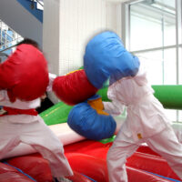 Boksiorckiy ring 13