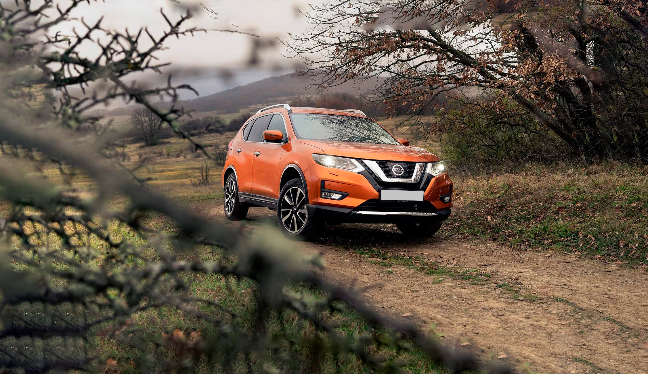 Nissanbanner