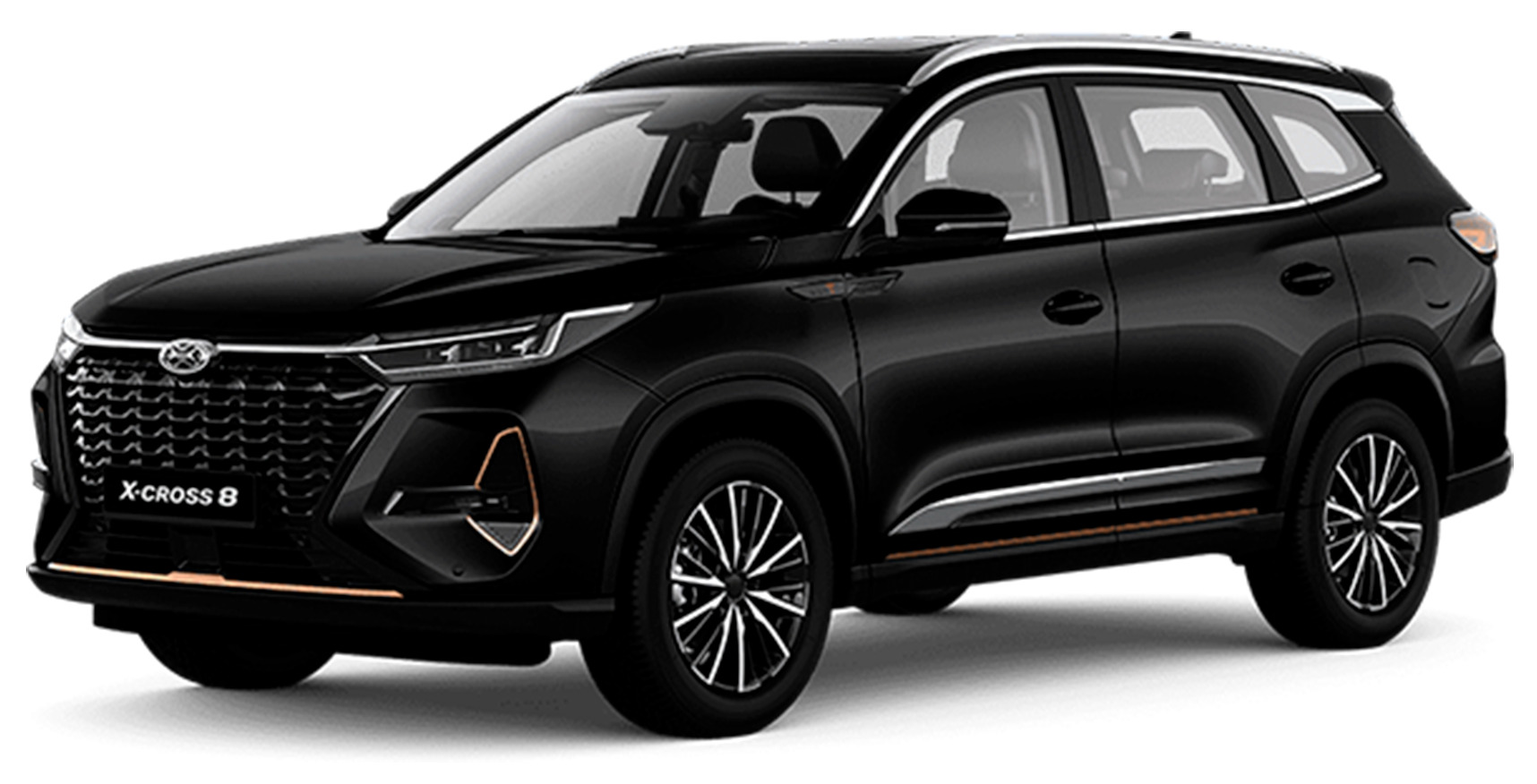Баннер Xcite X-Cross 8