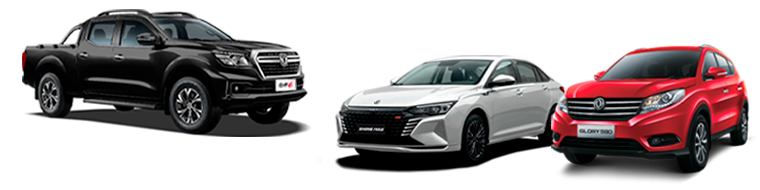Dongfeng banner