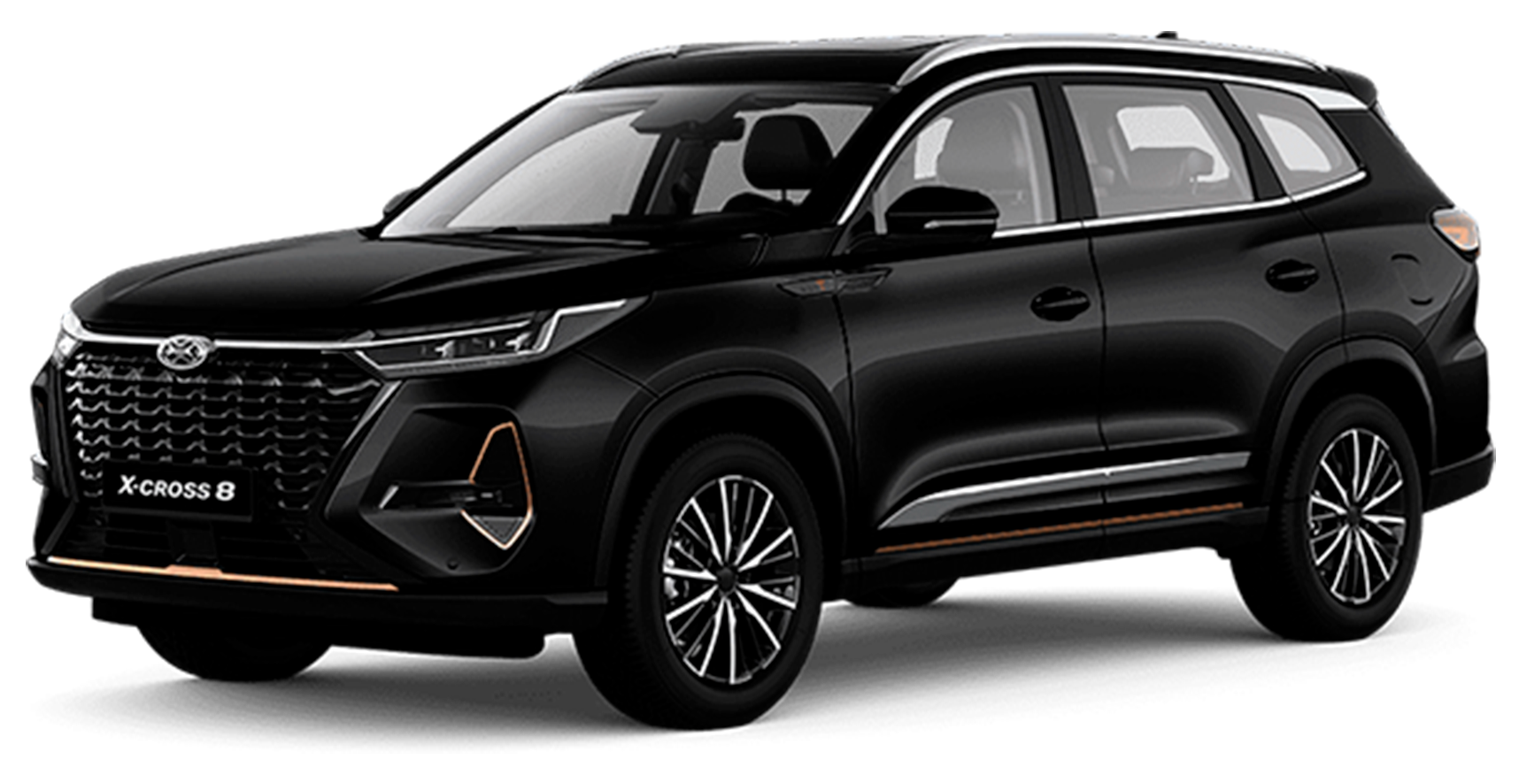 Баннер Xcite X-Cross 8