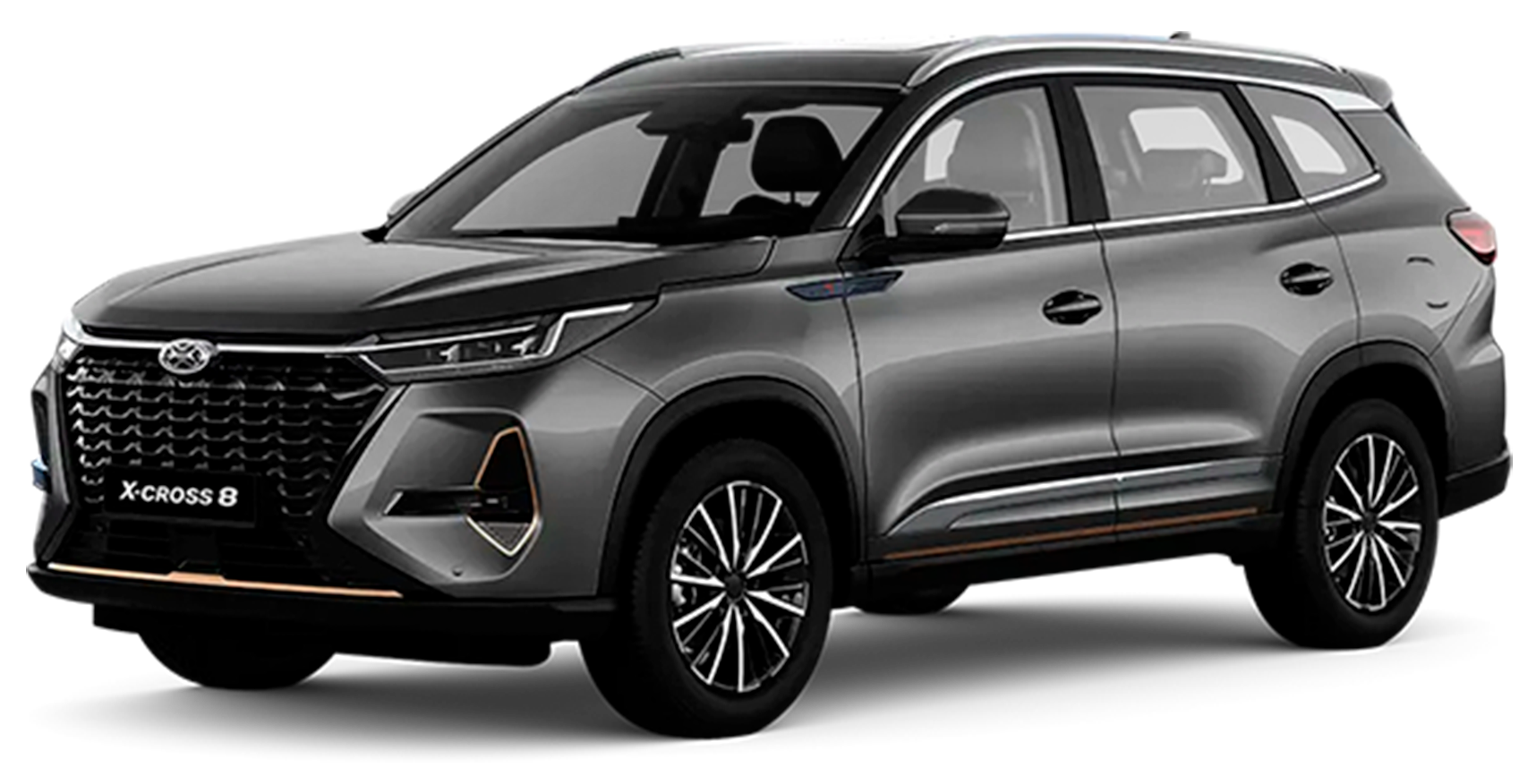 Баннер Xcite X-Cross 8