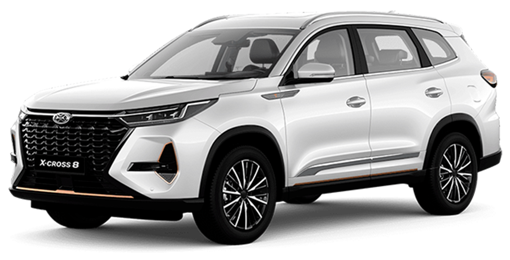 Баннер Xcite X-Cross 8