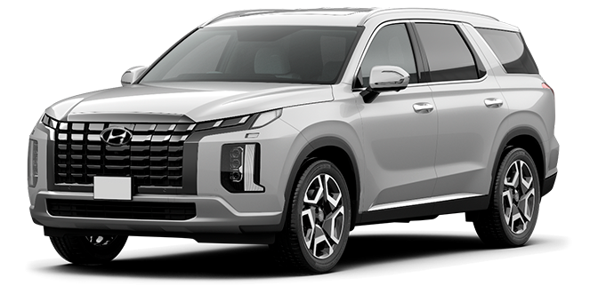 Баннер Hyundai Palisade