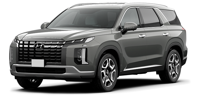 Баннер Hyundai Palisade