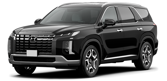Баннер Hyundai Palisade