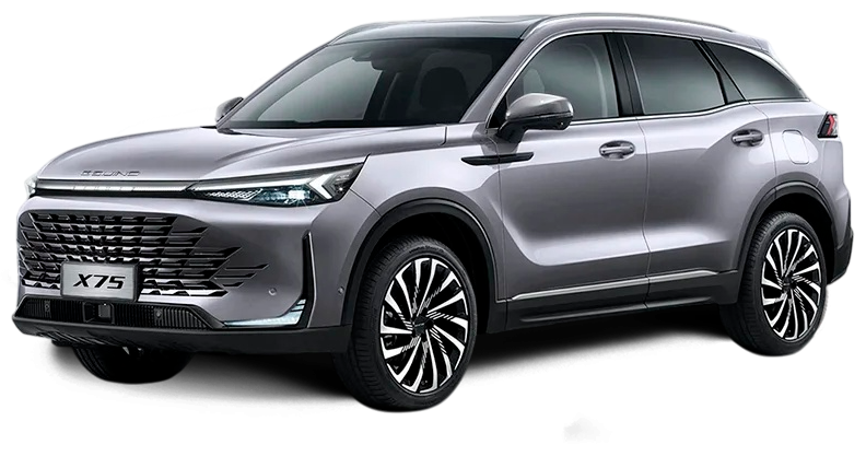 Баннер BAIC X75