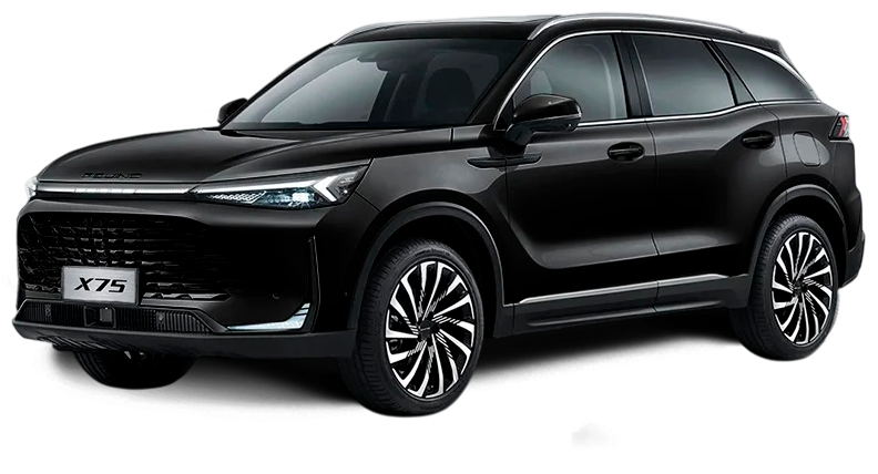 Баннер BAIC X75