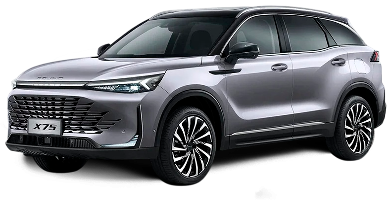 Баннер BAIC X75